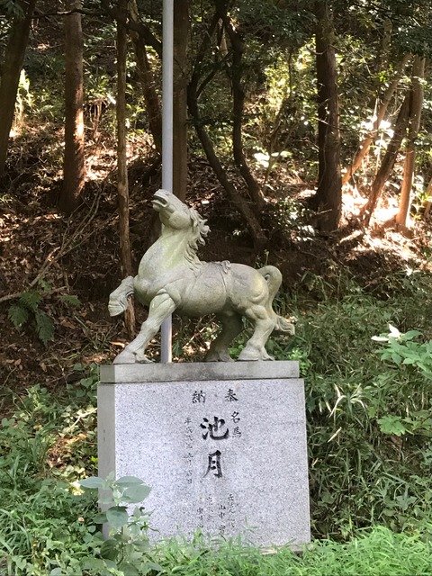 81E7EC9C-F08B-48EB-A219-6DB1BCEB7200