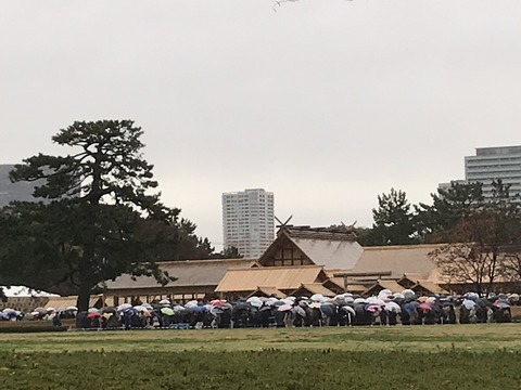 C5D62C5E-1FA2-43F9-BEC9-F284AE424736