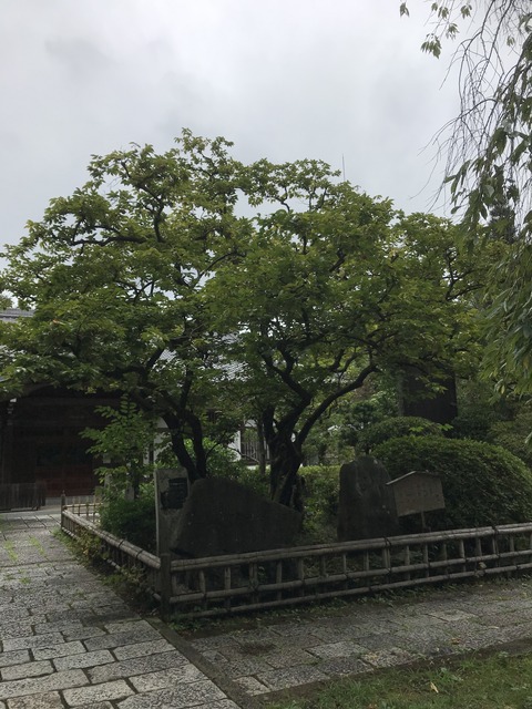 ED48DD3A-36AA-4308-838E-6E8F4075375E