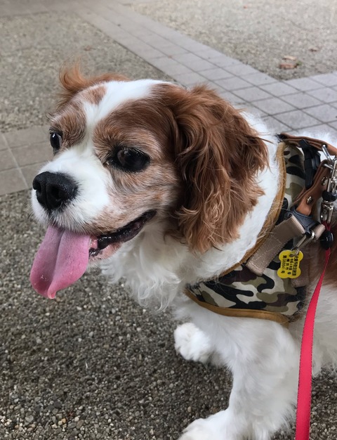 0246850F-5D47-42D1-BC6E-B13EC86406B5