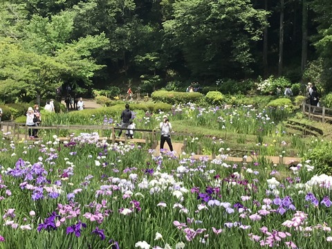 F703557C-B608-46B6-9591-0FCC4B402EE1