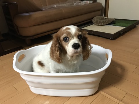 33B4004C-6C4F-4E3C-A0D7-4D5309EAEB82