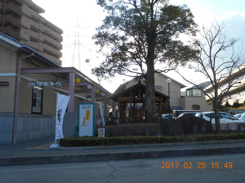 21大山から鶴巻 224