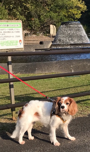 5F539166-0089-455B-9FDC-D4D720E704F6