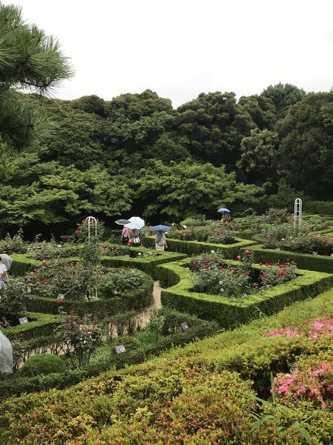 369CE881-2FE0-41C2-A601-63B3B6FF0F57