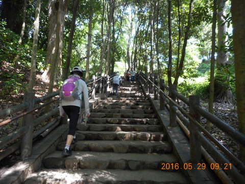 DSCN1204