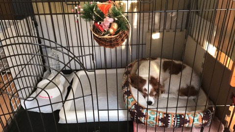 92F28E6A-0DDD-45D4-8EB6-BFF29023FE19