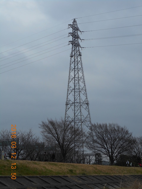 DSCN0875