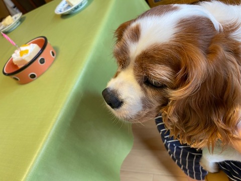 9CA477AD-AE01-4B74-8372-6E533B48FFD9