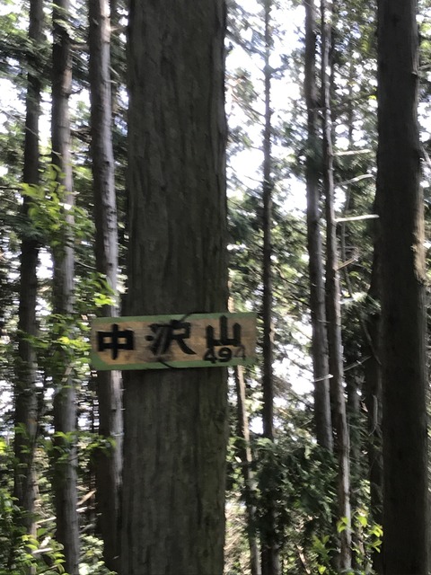 31DBDAF9-888E-4036-9A85-4F1A6F56C244