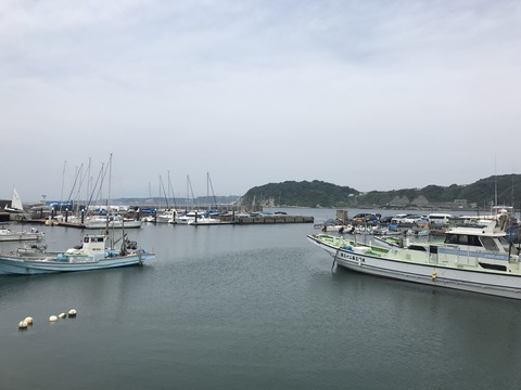 D5E72DED-E6E0-4DF7-8378-BA16F2C8C045