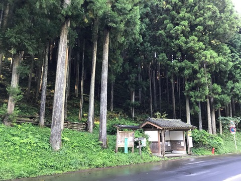 6819BFC9-0119-409E-B58B-E0D1D1C31330