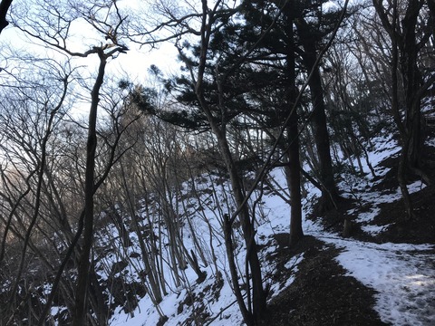 B780473A-081A-4F52-ABAB-81513DED7D94