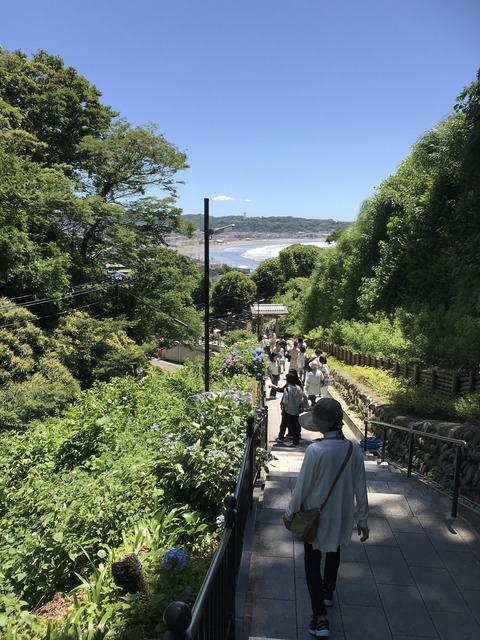 BEF80DA2-D119-4F6D-8655-FA224805213B