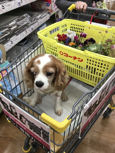 F1C156A0-A14E-4292-81A0-100B61EFE55A