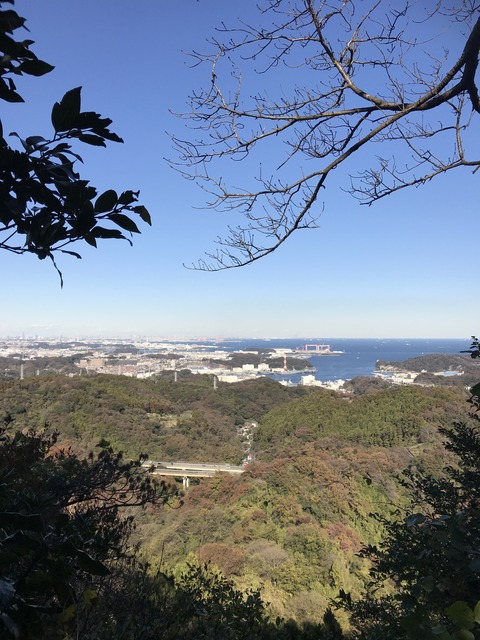 31423271-4FAB-42FD-AAB6-8D5ED0FD7AFA