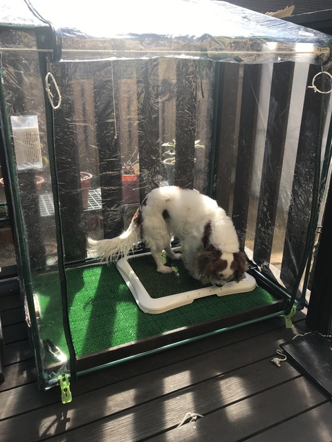 646AA788-BDAC-40B2-9CB4-36BF19931F0C