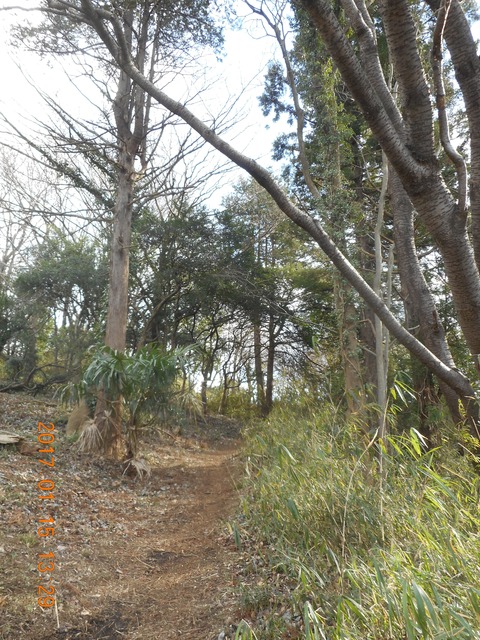 15早野から寺家 095