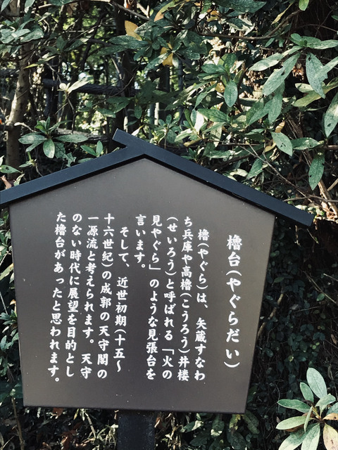 82CF4ECB-3047-4541-B025-74B3ADE0A3B0