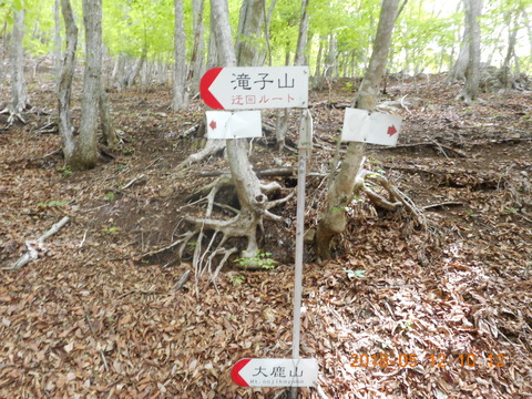 DSCN2871