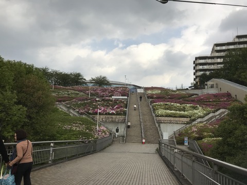 E014B349-C86A-4A32-8C55-51AB2E8B11E8