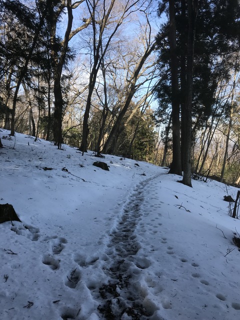 A2769B16-7180-429B-B4A1-E27EE5F15131