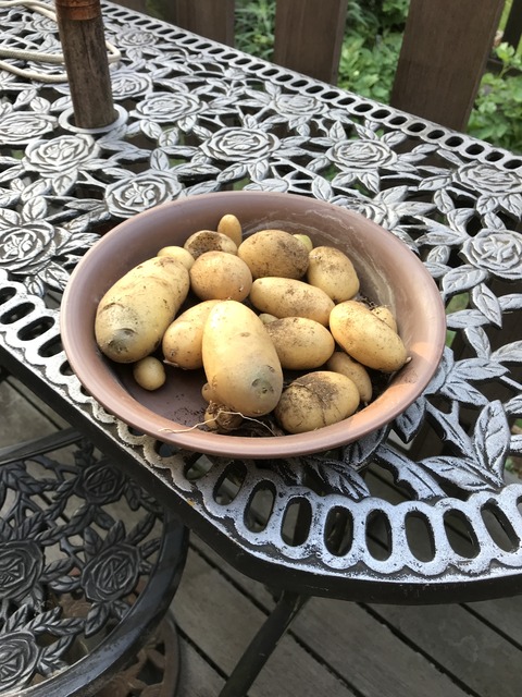 21FD345D-EE29-47C3-B526-91BD0C115B99