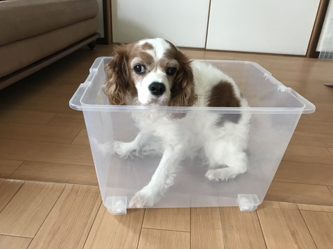 CF5988F1-335E-4B0D-AAB7-46A82D932F1C