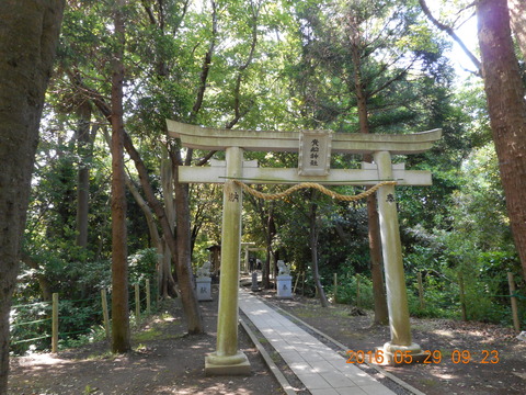 DSCN1205