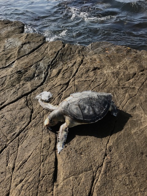 A447F594-F9FE-49EF-96AA-2350693ECB76