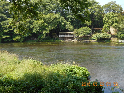 DSCN1231