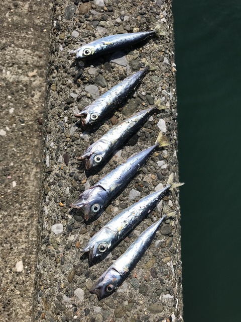 0184109C-0F08-4F46-BE22-E9EB28365639