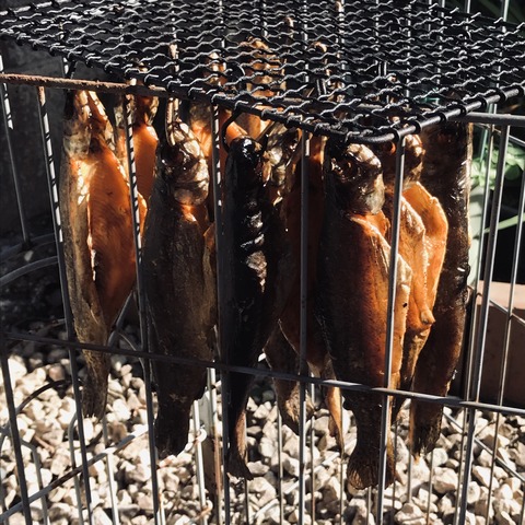 1CD4F1EC-36AB-48E5-93A2-646BD8637456