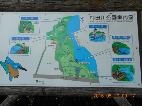 DSCN1201