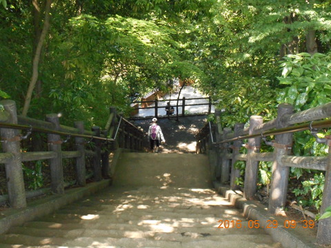 DSCN1218