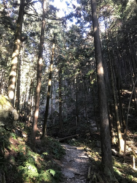 F7EA2901-89F8-4E3A-BF29-6600D5903970