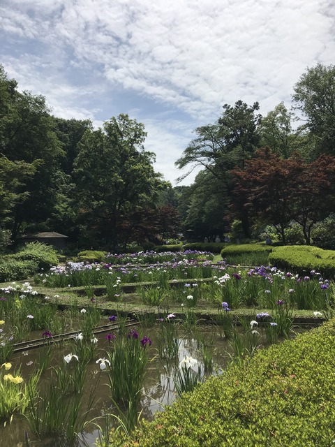 155B3C4A-5320-49DF-A55E-E688469163BA