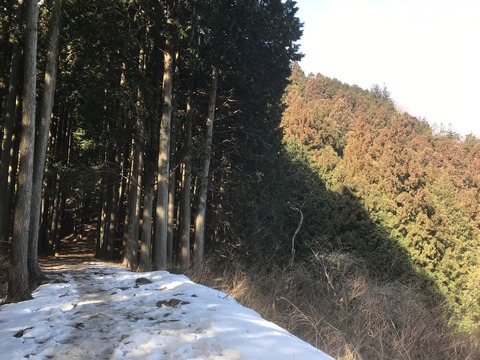 58E30656-24EF-4909-BFF8-BF1C891E3F4B