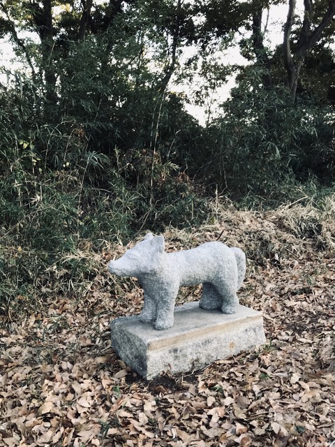 9F9468C9-A961-4D37-A74D-E2D50CC615AB