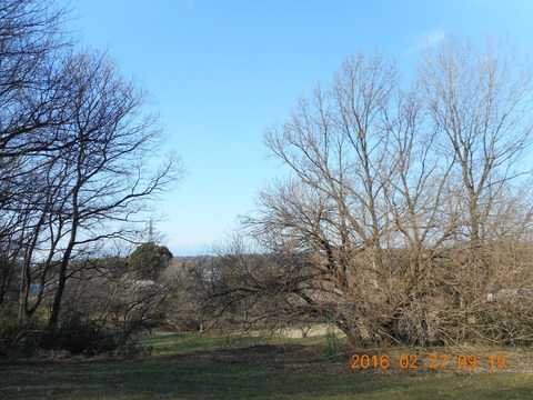 DSCN0765