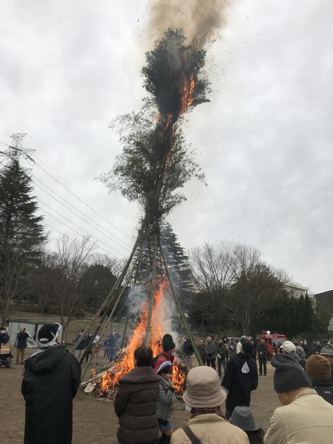 7F589F6B-A1E7-49DA-9986-B7BE129EB068