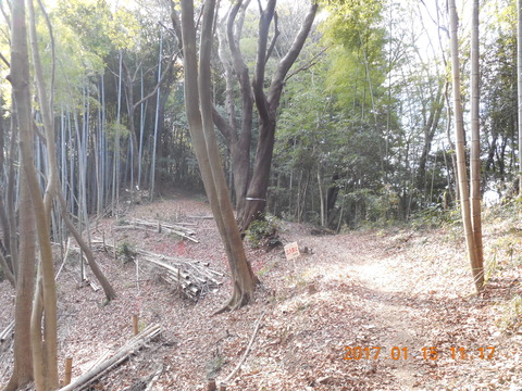 15早野から寺家 026