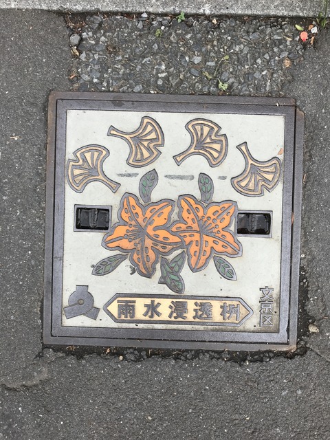 B556D50D-9C0E-4F72-BEC5-7736352E5087