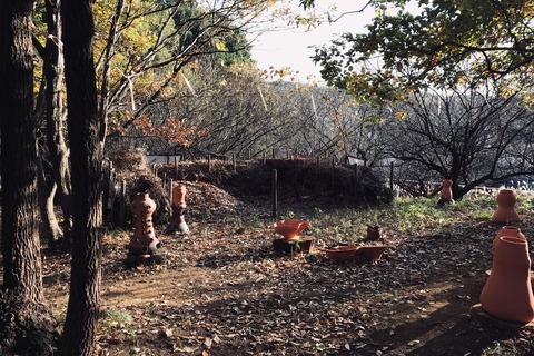 DCB15DFA-689A-4D27-9769-A6CAD1A814DF