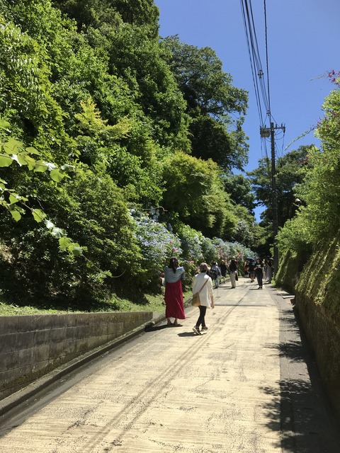 8A82974D-F85C-454F-BF8D-17893440D61F