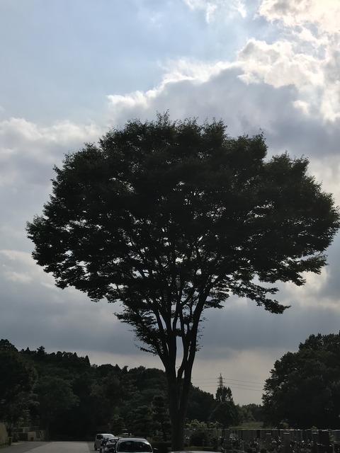 AA61723C-991F-4849-B1C7-B802A0F2B954