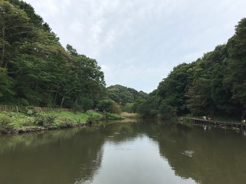 E2DEBB03-3B7E-4468-B661-D5C8C9AEFBD9