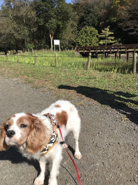 9EAB17BA-954A-41F1-B9EF-E16423D19FB4