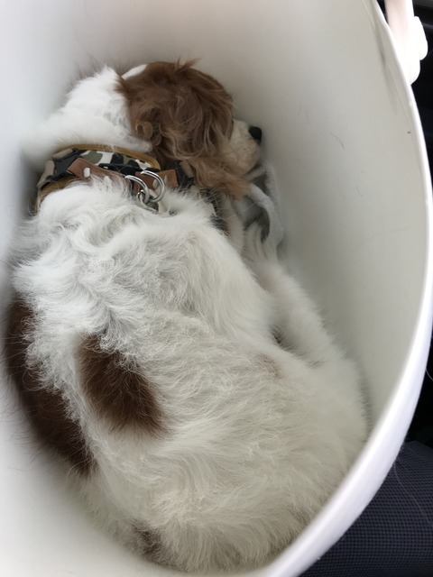 03FA77AB-5E07-480B-82A9-F298D745DDDB