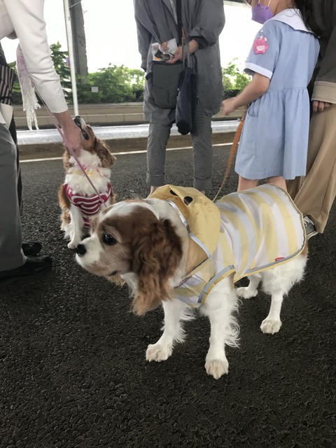 E7913FB8-42E9-455C-BE43-FD21C3E9EE57